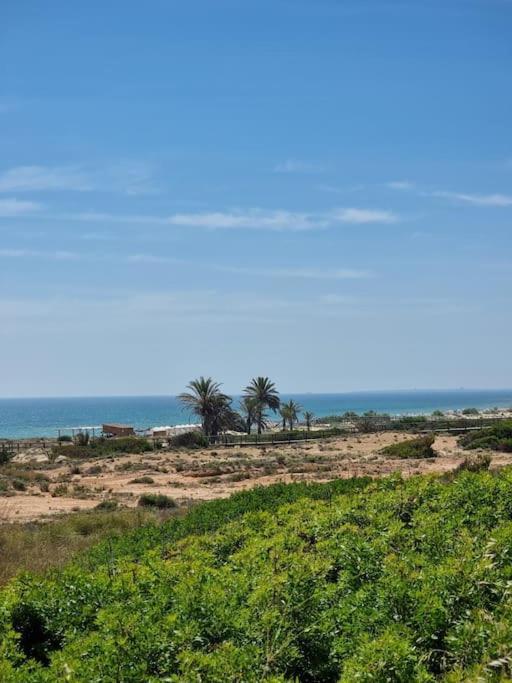 Marbella Sea View Apartament Arenales del Sol Exterior foto